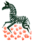 zebra